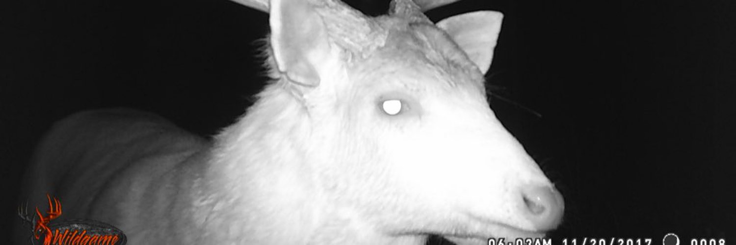 jeremy bootz banner image