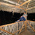 jeremyRicardo avatar