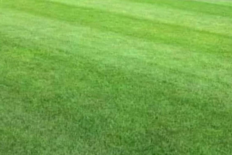 Jermainex banner image