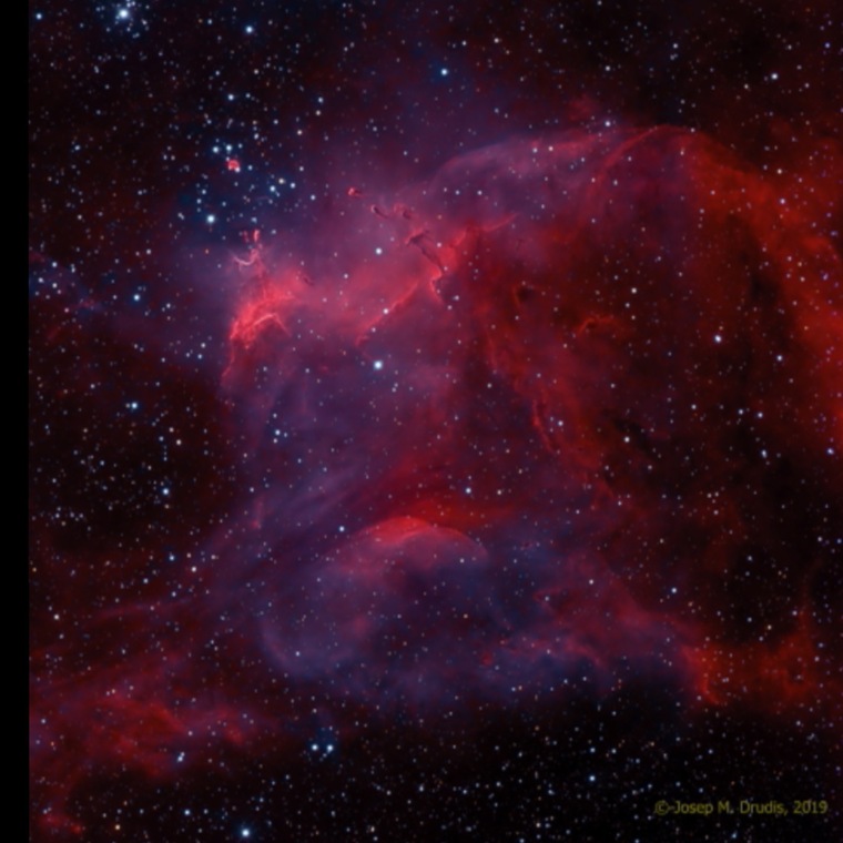 Jess banner image
