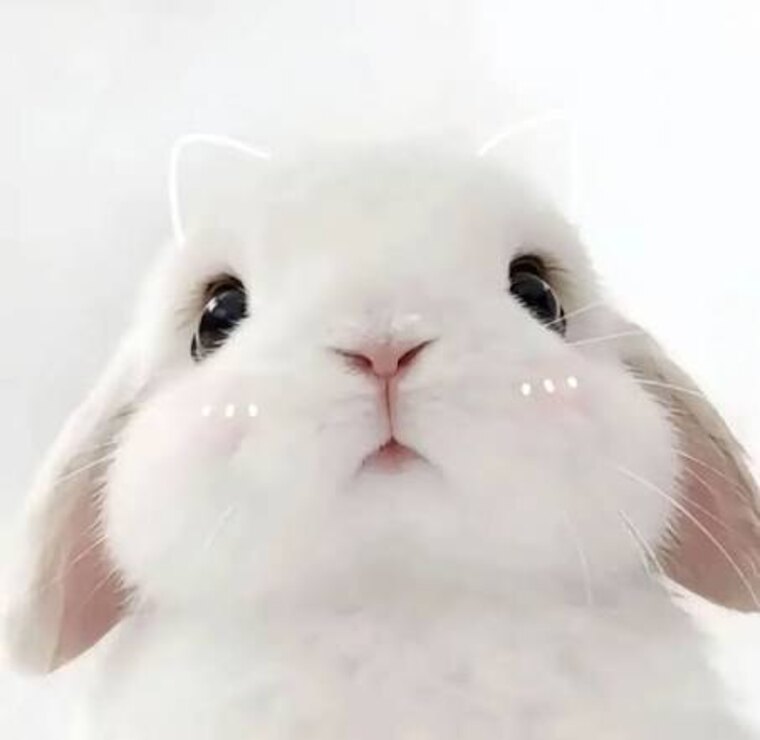 TSJessi π³οΈββ§οΈπ banner image