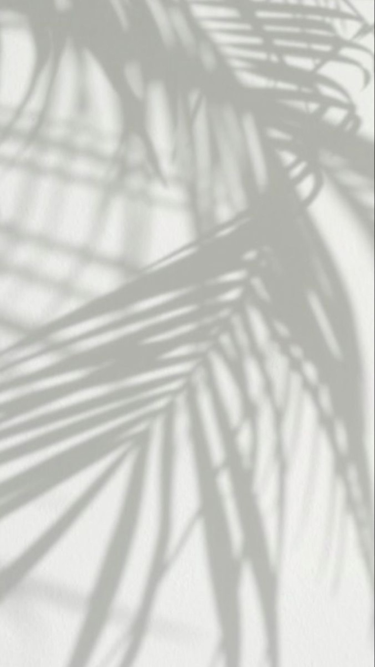 u267960717 cover image