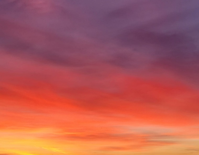 Jessicasfeet banner image