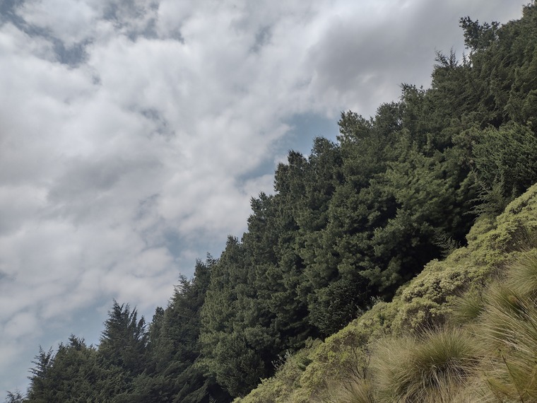Jessica Torres banner image