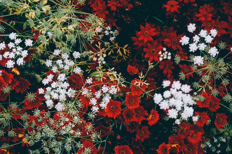 Jess Weather cover image