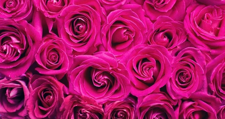 Cosmina banner image