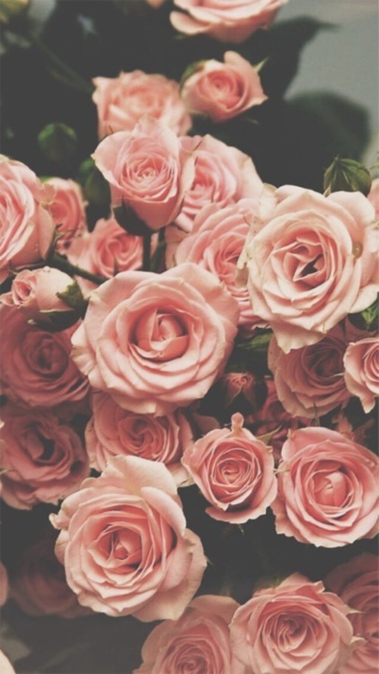 Jezzy_Rose banner image