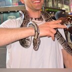 Jake From Snake Farm avatar