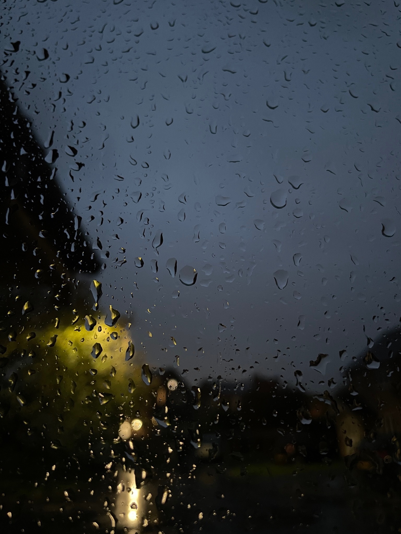 J banner image