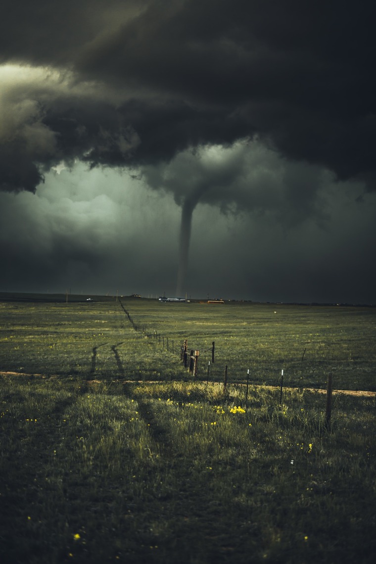JIM banner image