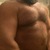 Big Jimmy Bear avatar