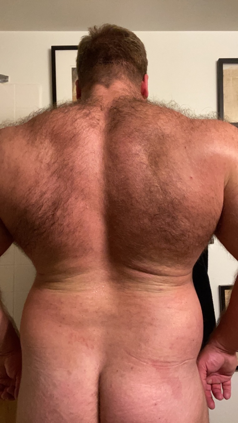 Big Jimmy Bear banner image