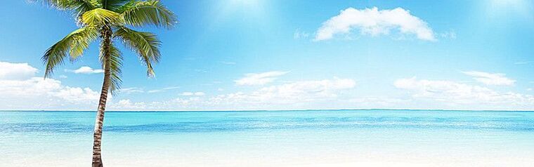 Jinx Silvera banner image