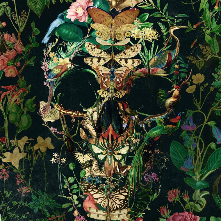 Jinxy cover image