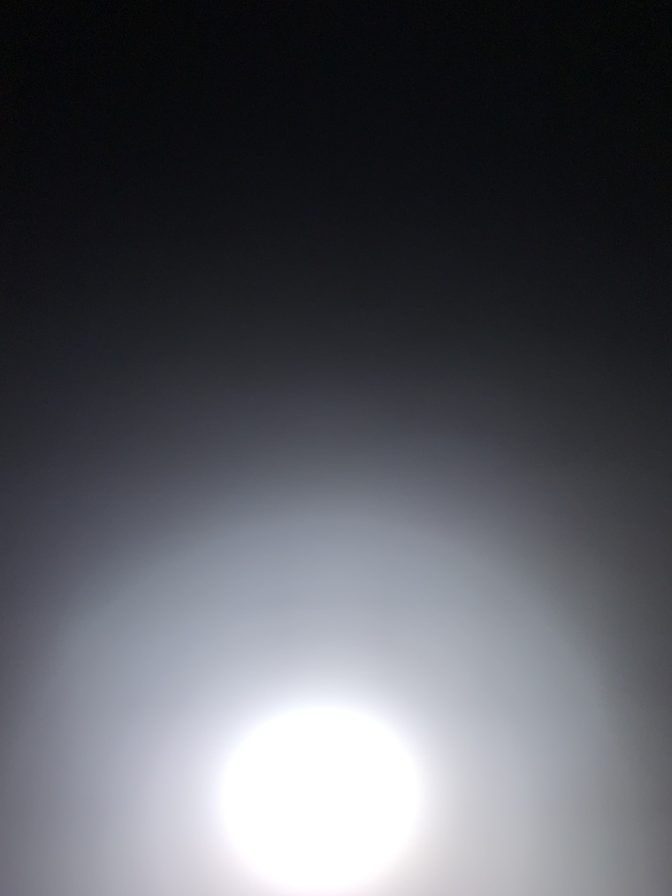 JizzyJenny cover image