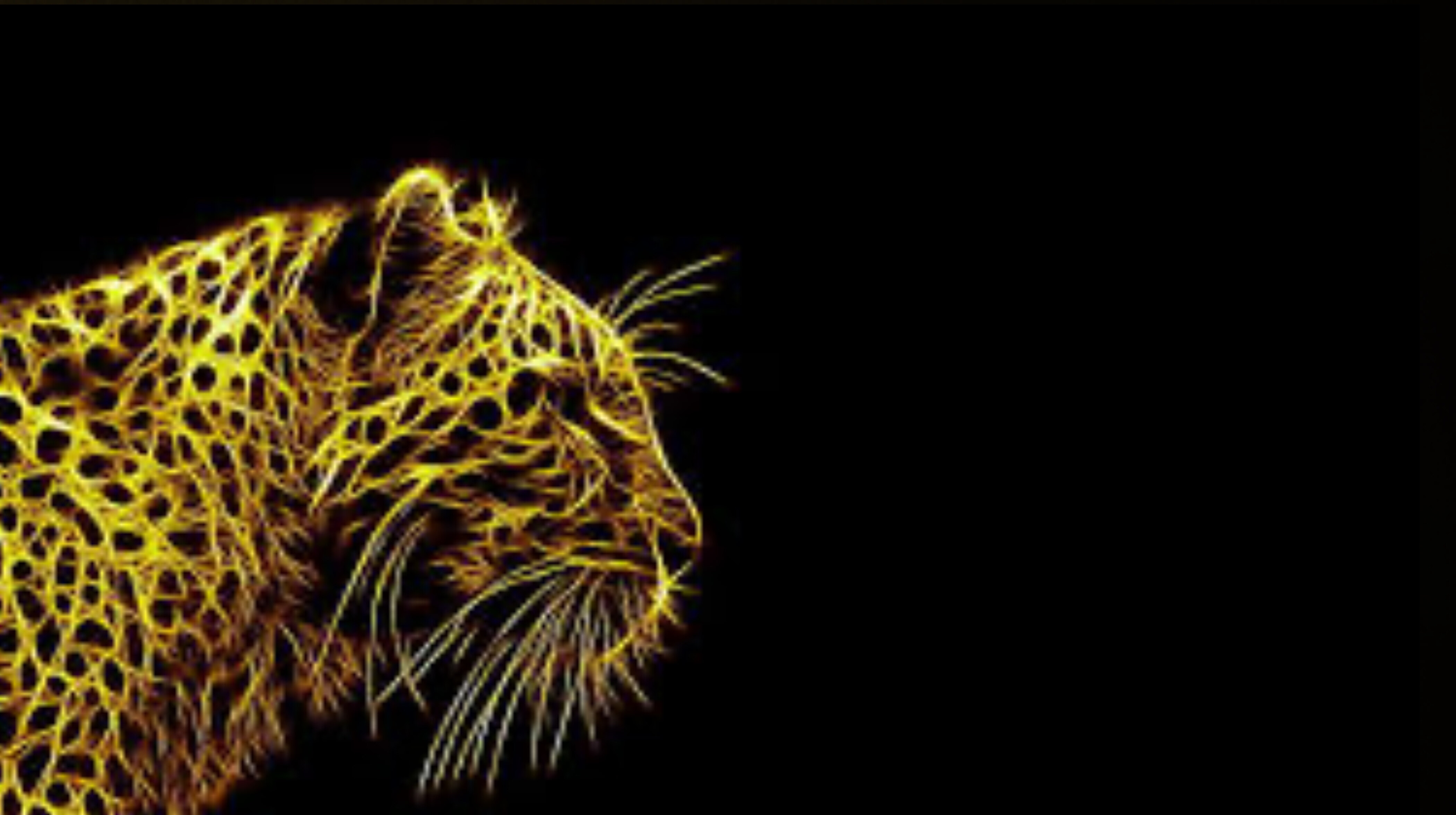 JJAGWARR banner image