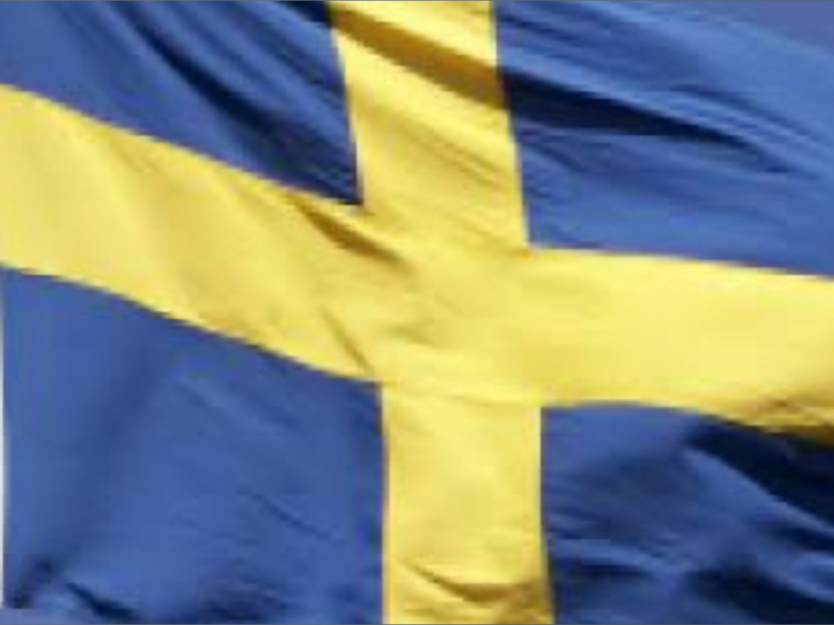 Swedishguy banner image