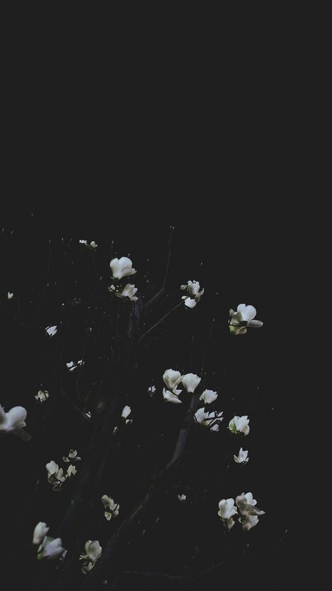 Rigo07 cover image