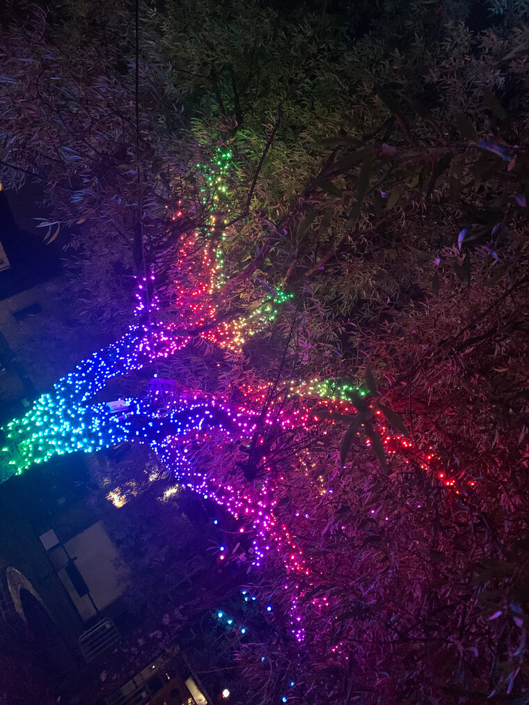 J Long banner image