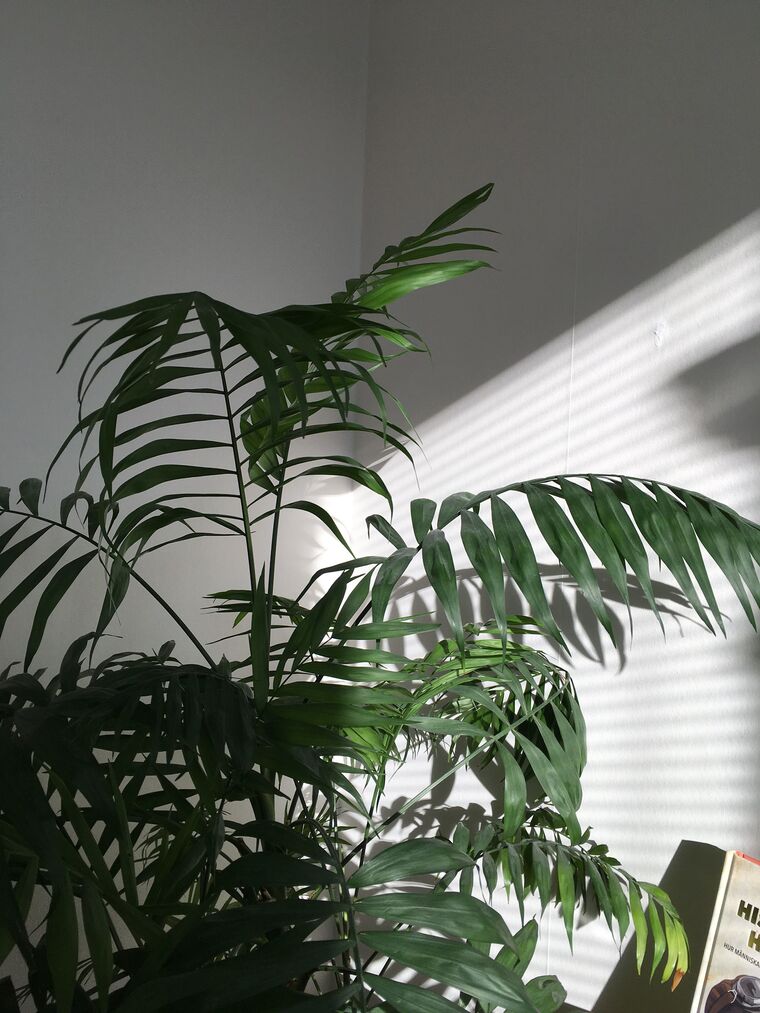 J banner image