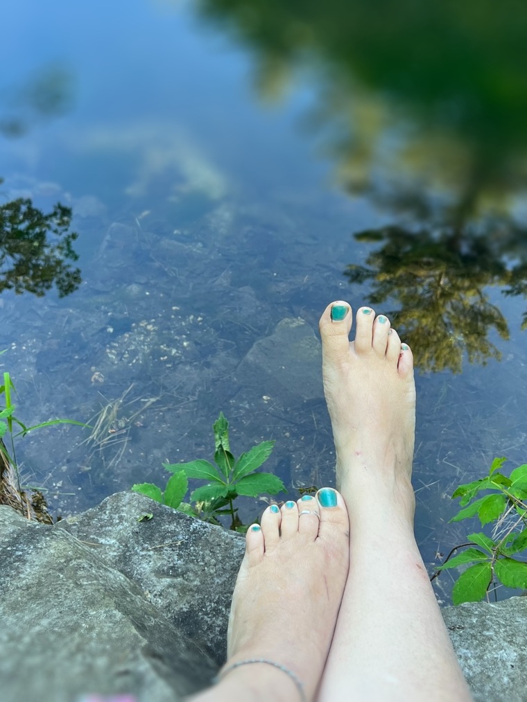 Joanwilder cover image