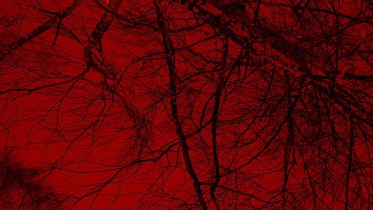 Joaquin Ignacio cover image