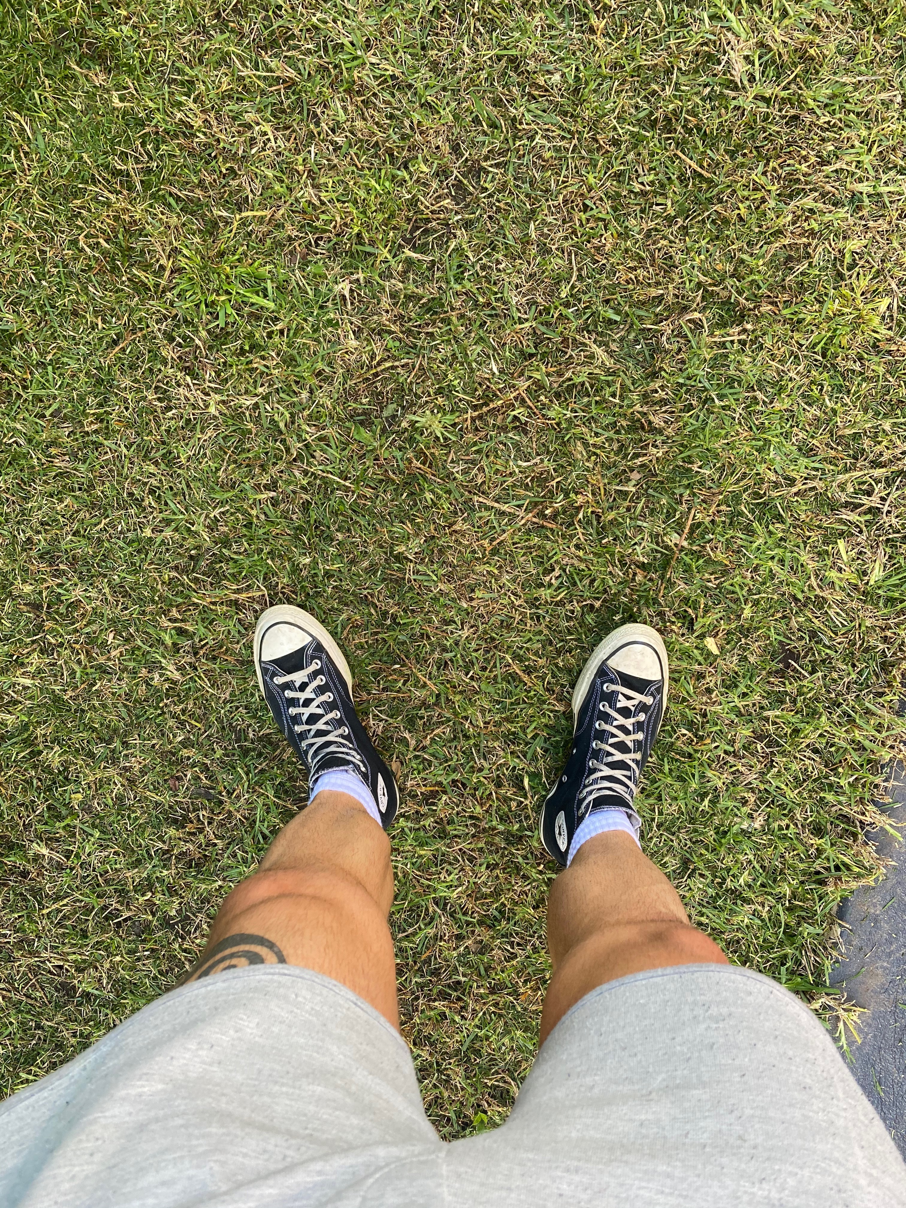 Jock Vans banner image