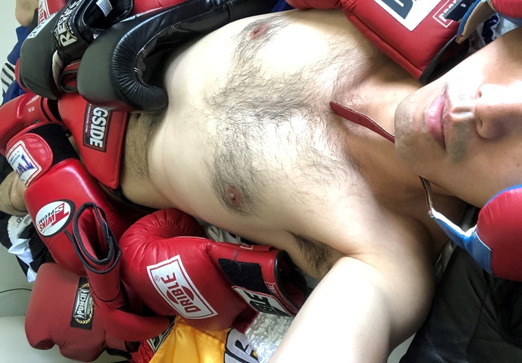 Joeboxerbr cover image