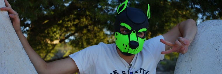 PupJoel cover image