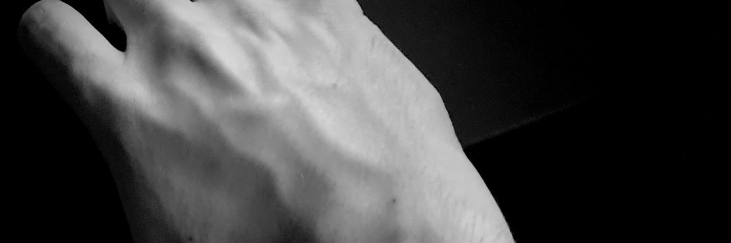 JoeSexcellentAdventure banner image