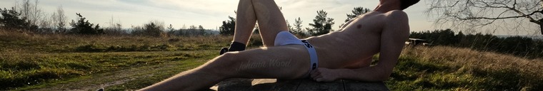 Johann Wood cover image