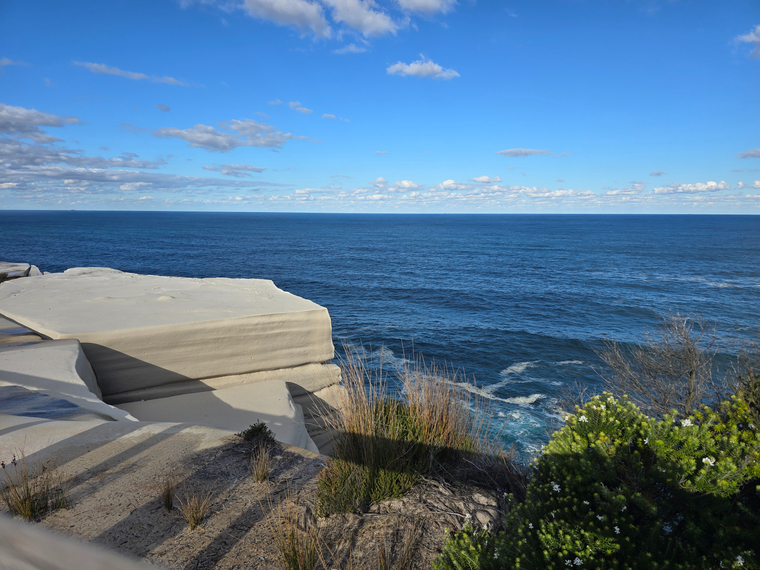 John Cole cover image