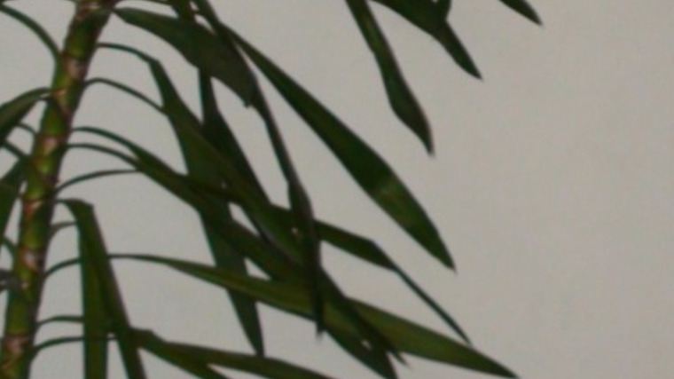 Johnny Guides cover image