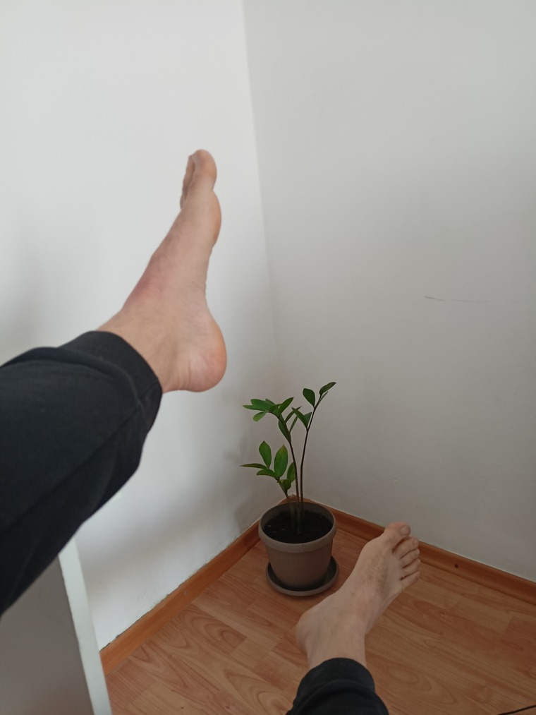 Johnny Bravo foots banner image