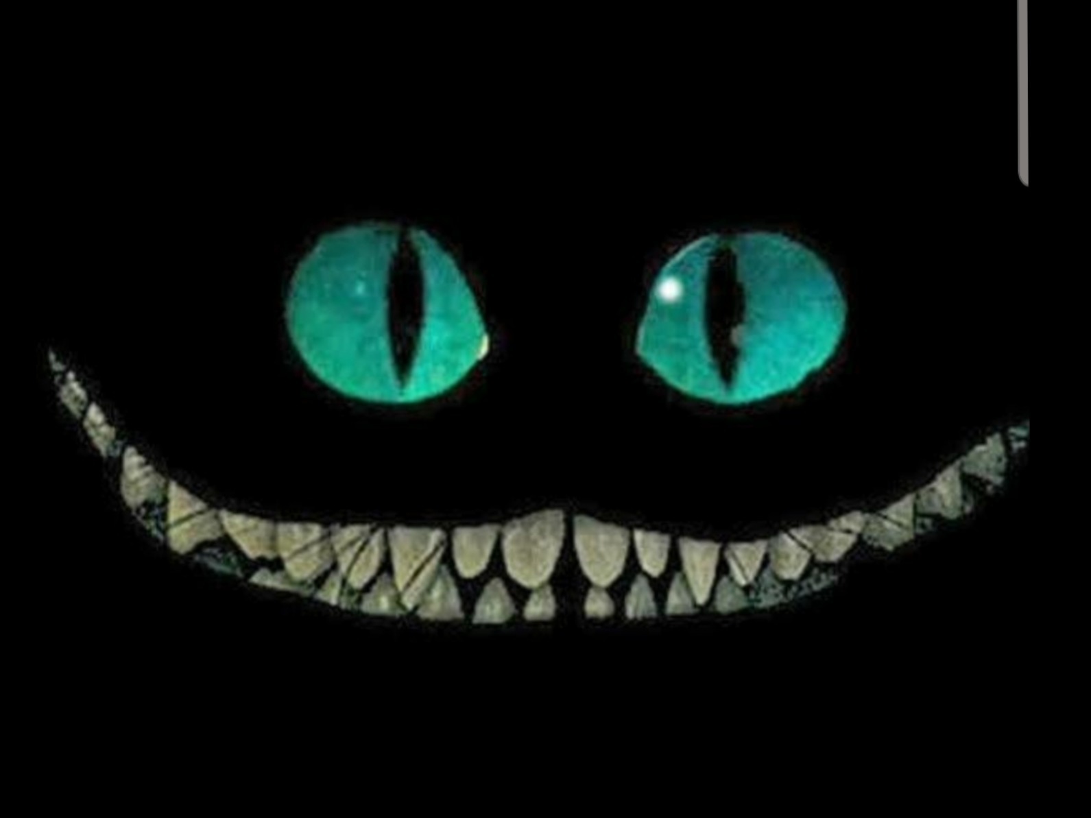 Jon banner image