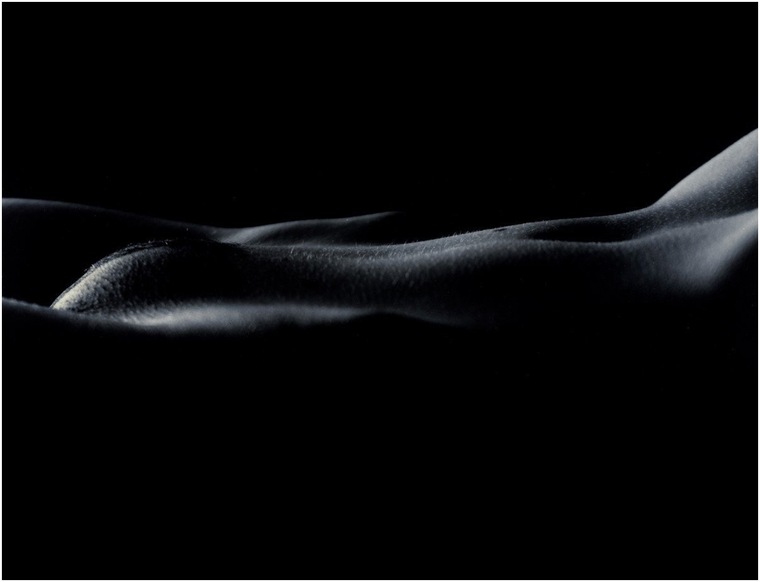 Dello476 cover image