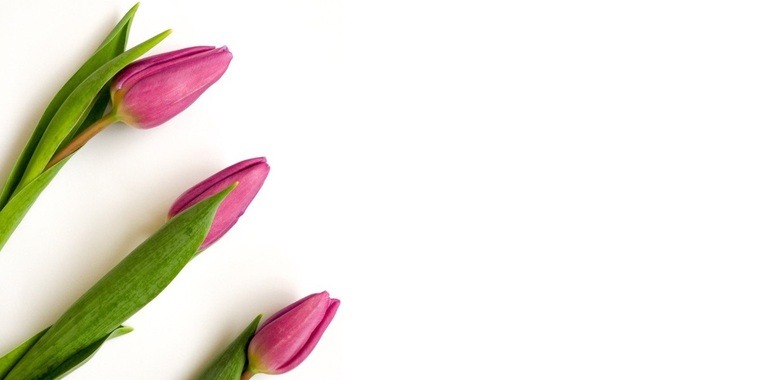 Jordyn cover image
