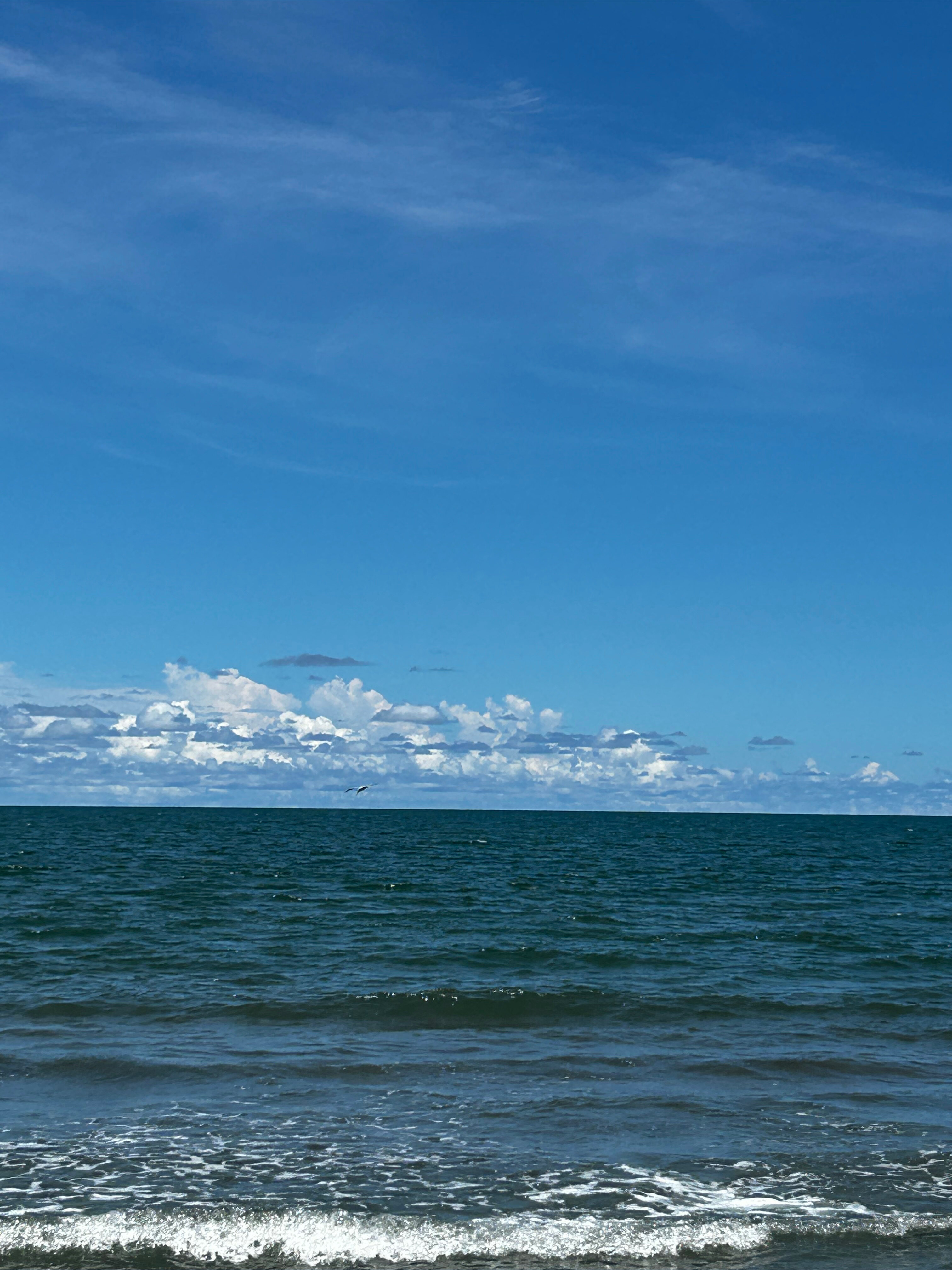 Jordy banner image