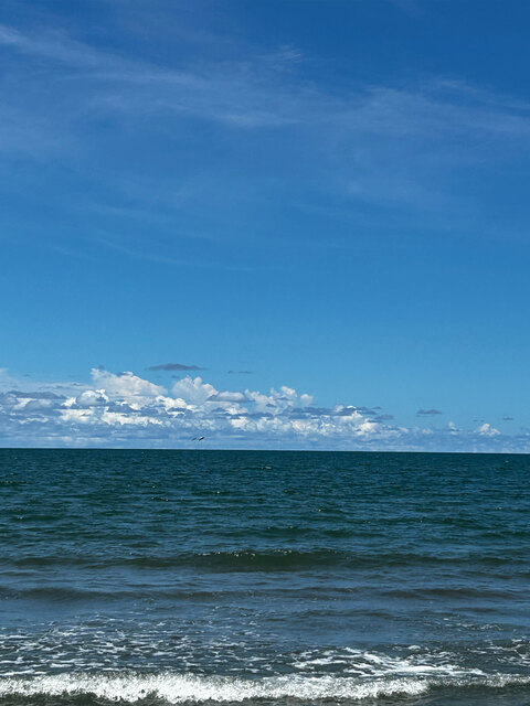 Jordy cover image