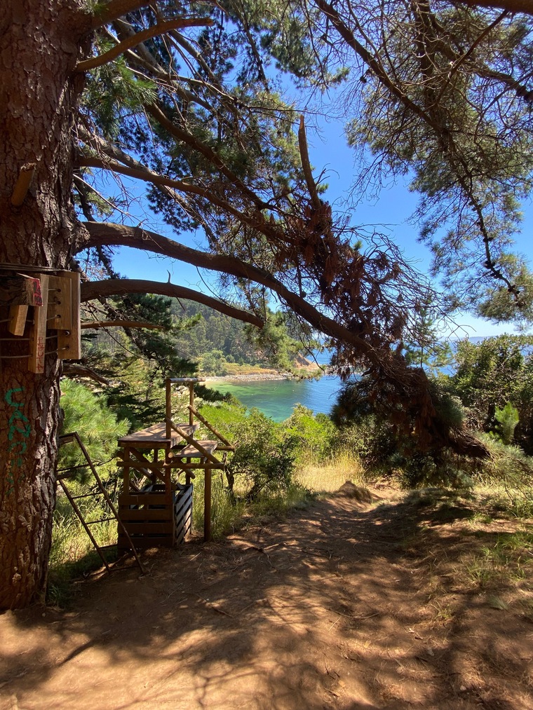 Josué banner image