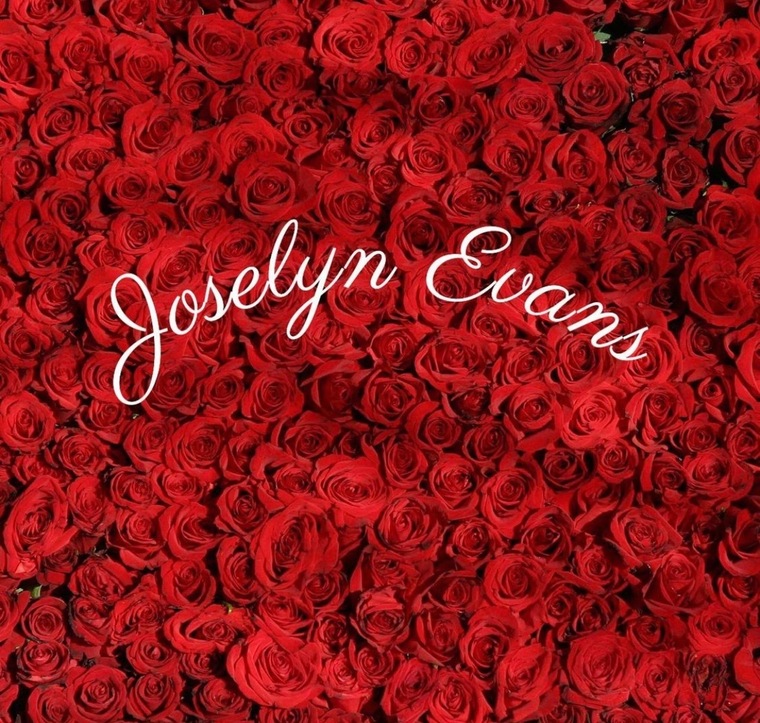 Joselyn.VIP banner image