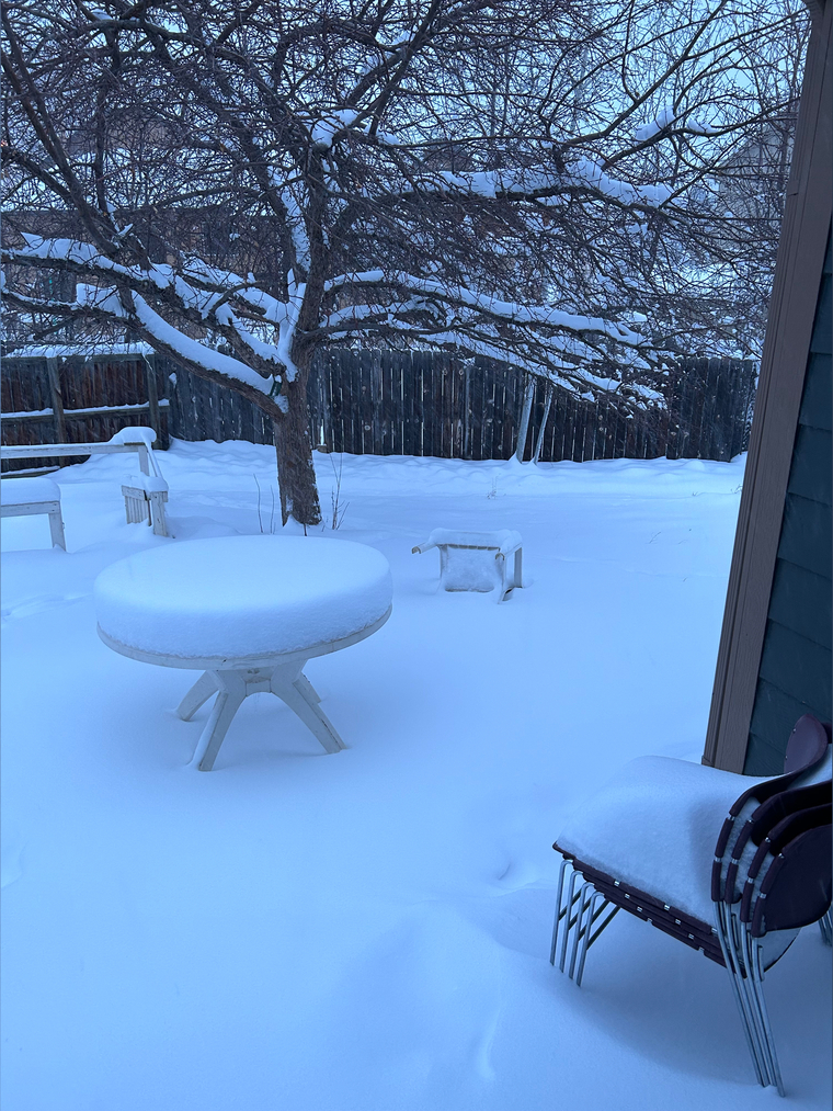 Josh cover image