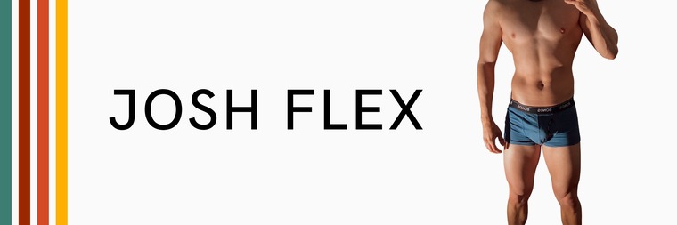 Josh Flex cover image
