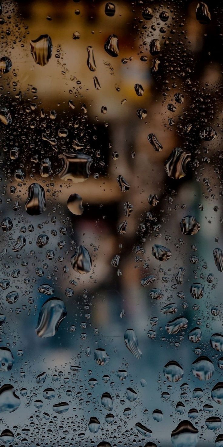 𝒀𝒏𝒔𝒐 𝒋𝒑 𝑺𝒂𝒏𝒛 cover image