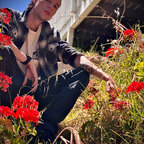 Josh avatar