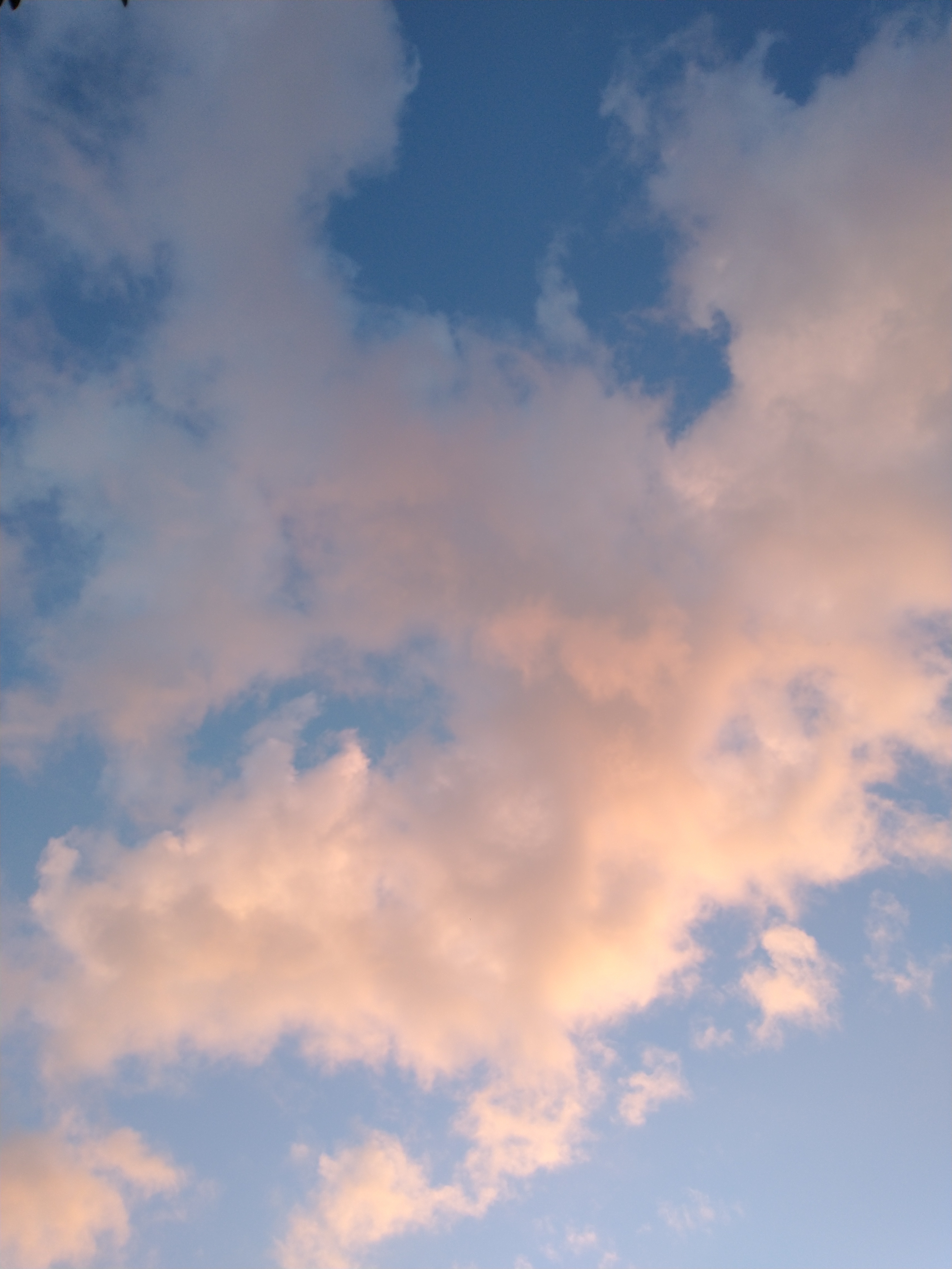 Joshu banner image