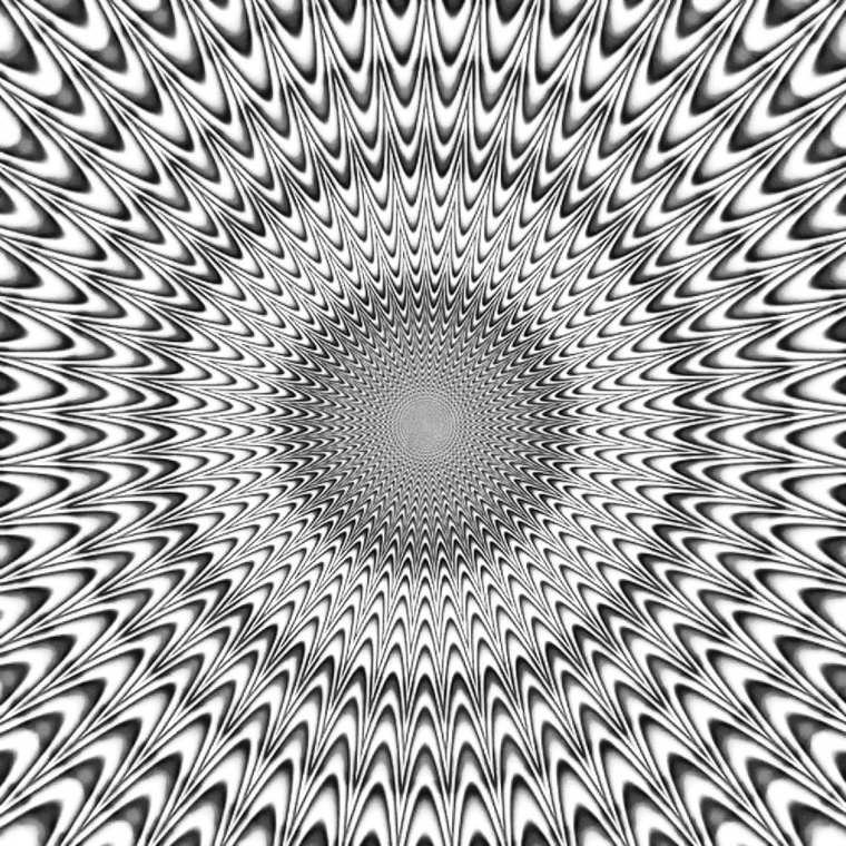 πππππ πππππ banner image