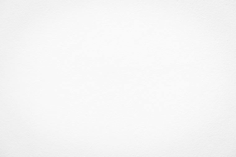 El joven polla chileno banner image