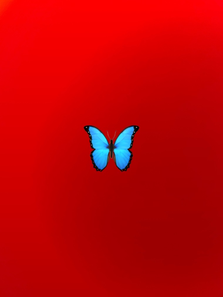JoyceX97 cover image