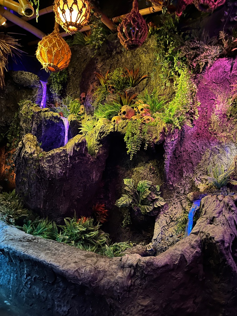 iaydeann banner image